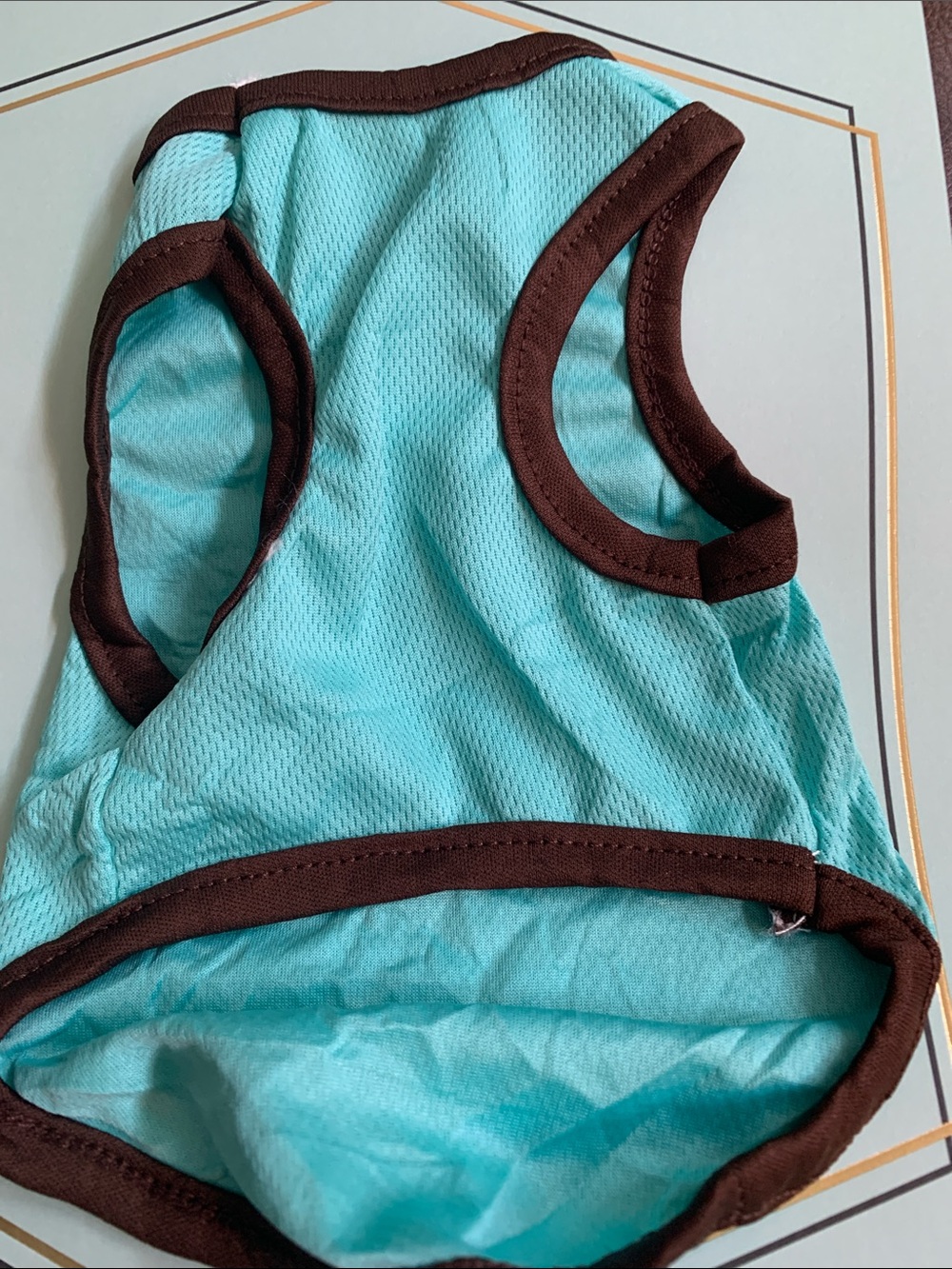 GOOD DAY! Teddy Graphic Aqua Dog Tank with Brown Trim and assorted colors - Picture 2 of 3